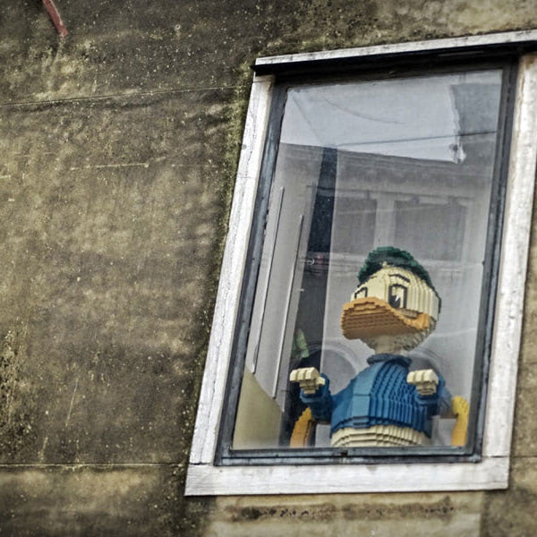Donald Duck sitzt im Fenster