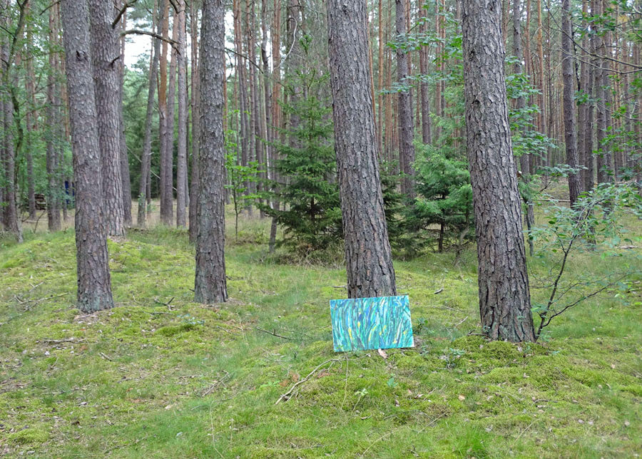 Bild im Wald