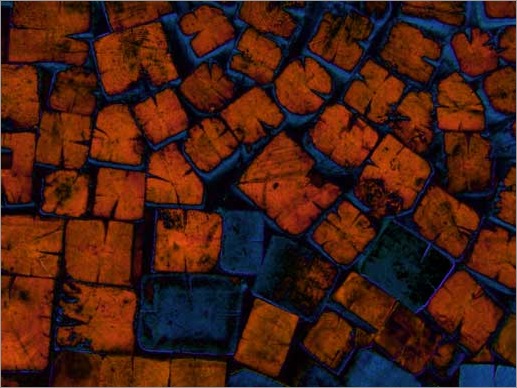 Bearbeitete Fotografie in Blau-Orange von Thomas Roemhild