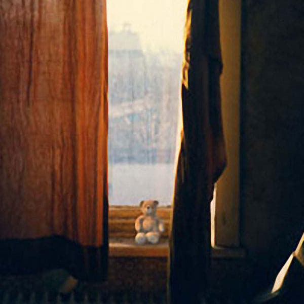 16-Fotografie Teddy am Fenster