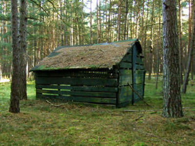 Alte Hütte im Wald