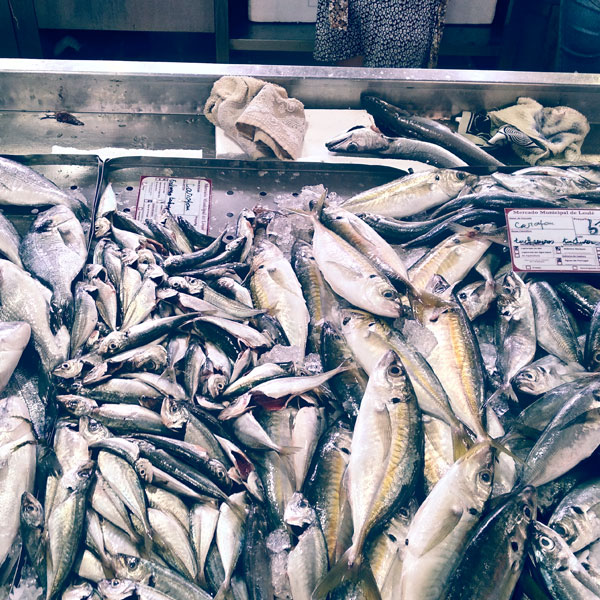 Fische auf einem Markt in Portugal