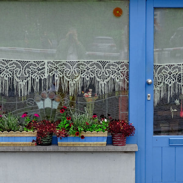 Fensteransicht